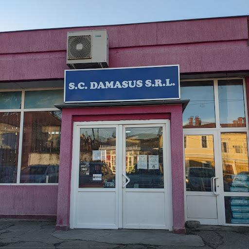 Damasus