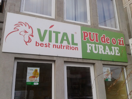 Vital Best Nutrition Găești