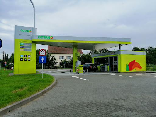 Octano Sacueni