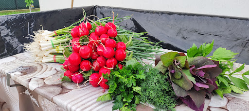 Legume Proaspete din gradina