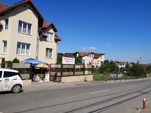Minimarket Câmpului